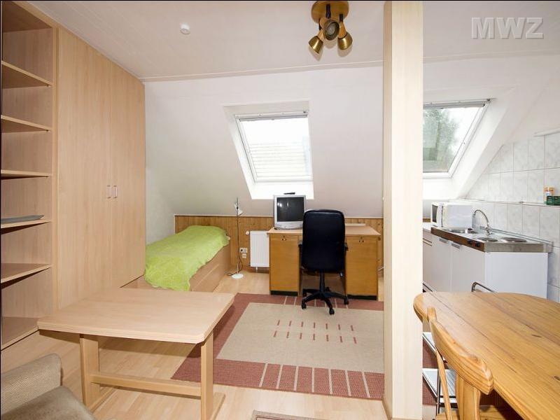 Möblierte helle 1-Zimmer-Wohnung, 64297 Darmstadt, Wohnung